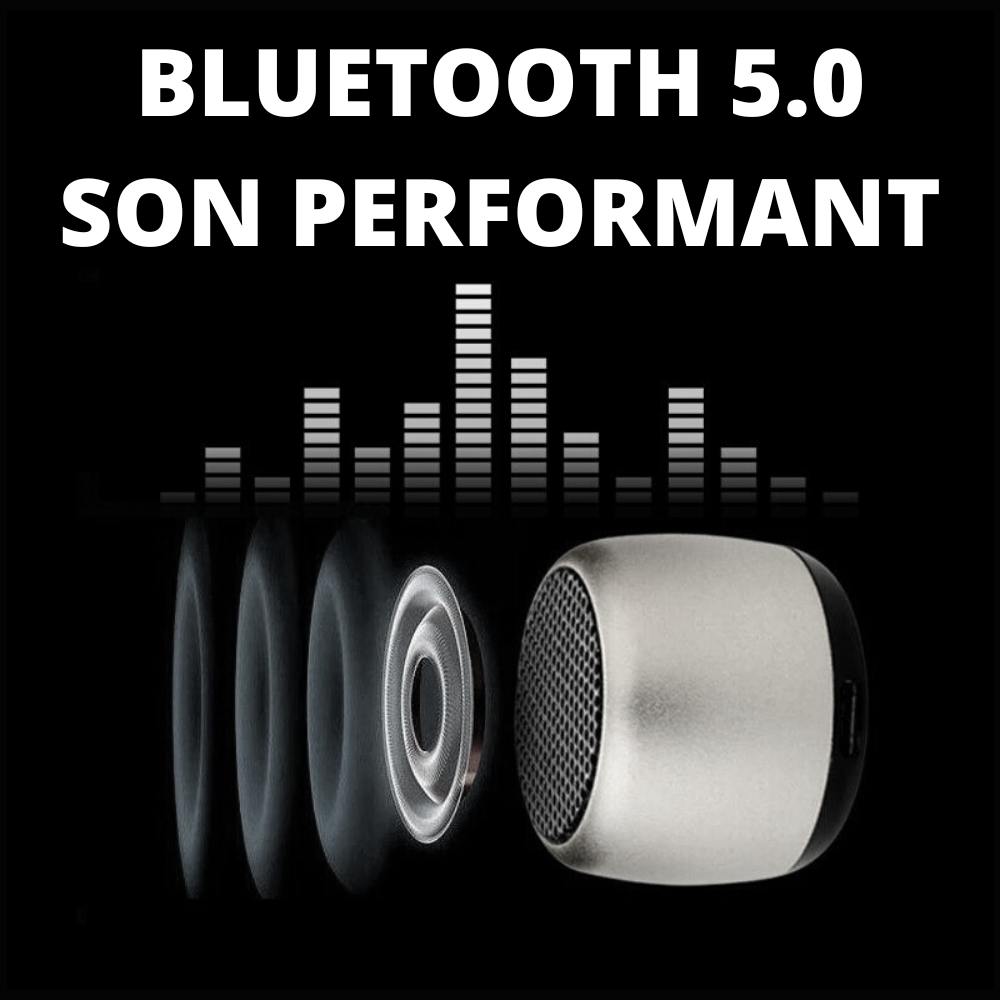 Mini Enceinte Bluetooth